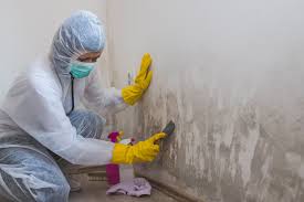 Best Forensic Mold Investigation  in Gibsonton, FL